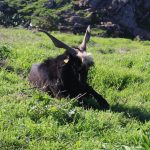 WhatsApp Image 2018-12-03 at 17.17.01