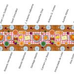 cenanochebuena_dautedigital