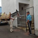 WhatsApp Image 2019-05-26 at 09.30.00