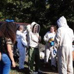 ecocineexpres_ficmec20192