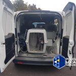 maltrato animal la montañeta