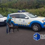 maltrato animal la montañeta 3