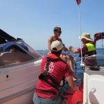 vigilancia acantilado los gigantes 1