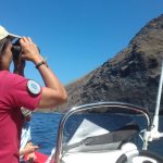 vigilancia acantilado los gigantes