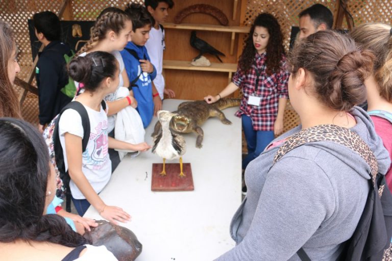 Ocho centros educativos participan en el programa de educación ambiental de FICMEC