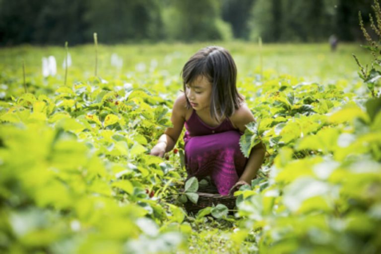 Fotosíntesis, las I jornadas de agricultura ecológica de FICMEC