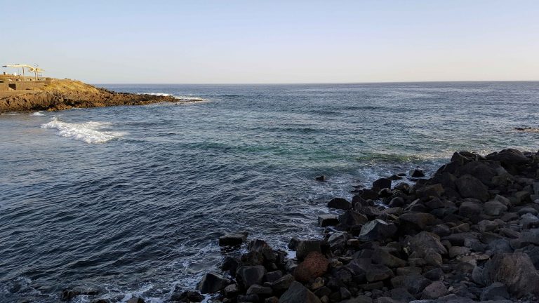 Ecologistas en Acción otorga la bandera negra al charco de La Araña en Los Silos