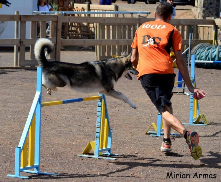 De La Caleta al Nacional de Agility Dog 2019