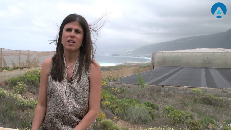 Las Canteras, Taco o el faro: aquí irá la depuradora comarcal
