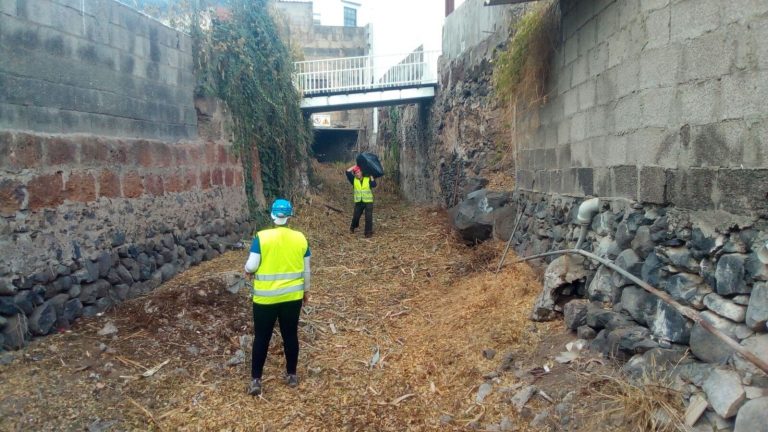 Concluye la primera fase de limpieza en los barrancos silenses