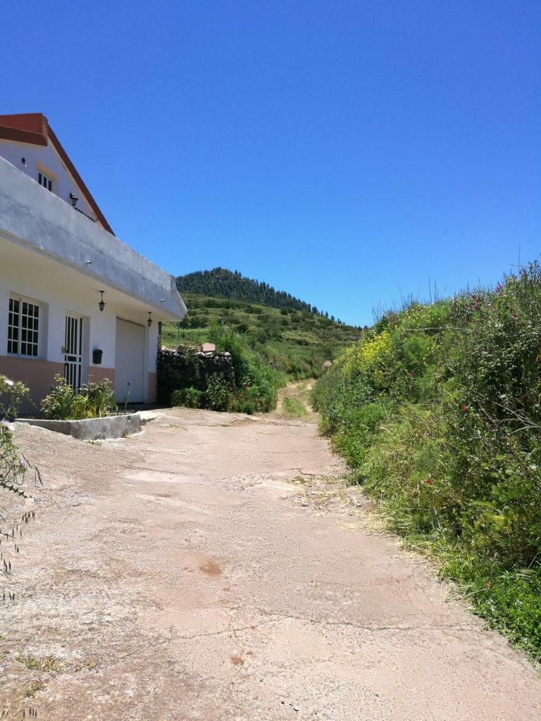 A licitación el acondicionamiento de la pista de la Casa La Cuna