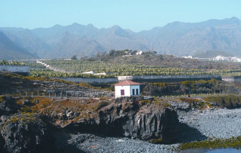 TÉLEX-3, un encuentro poético con las artes se celebra del 11 al 13 de agosto