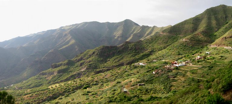 Las ‘Marías’ de Teno, premio Tenerife Rural 2020