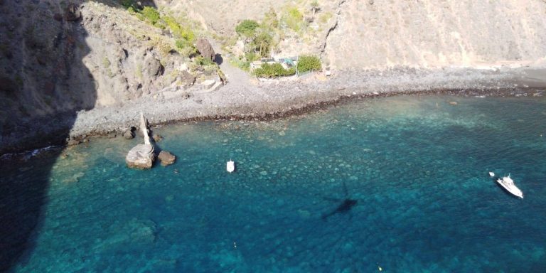 El Gobierno sobrevuela la costa de Teno en busca de microalgas