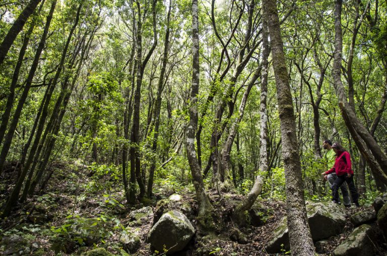 ‘Los Silos es Deporte’, la nueva programación del Ayuntamiento para este verano