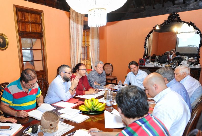 El Cabildo adquirirá el suelo para el nuevo centro de salud de Los Silos