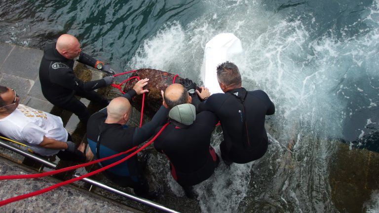 La Red de Vigilantes Marinos se prepara para la IV Gran Limpieza Nacional de Fondos Marinos