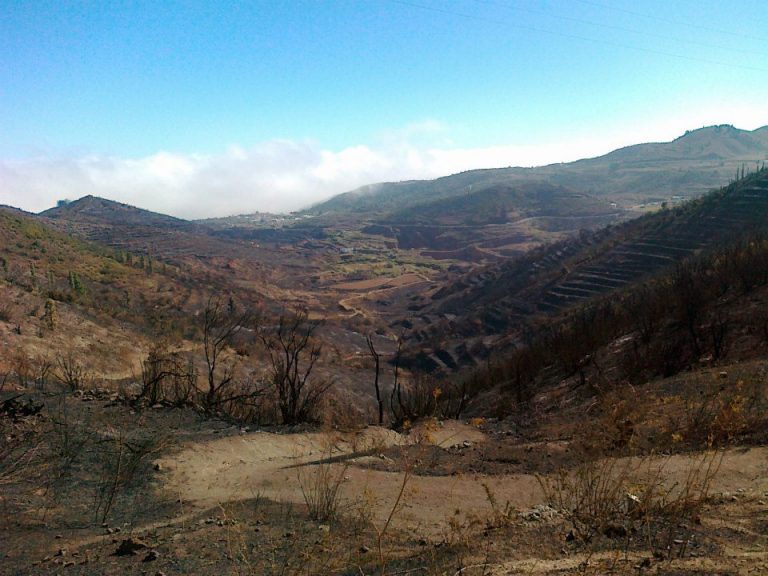 Siete años del fuego en las cumbres de Teno