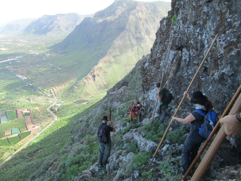 Teno acoge el encuentro insular de salto del pastor