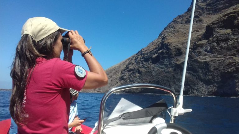 El Cabildo vigila Barranco Seco para proteger a los guinchos