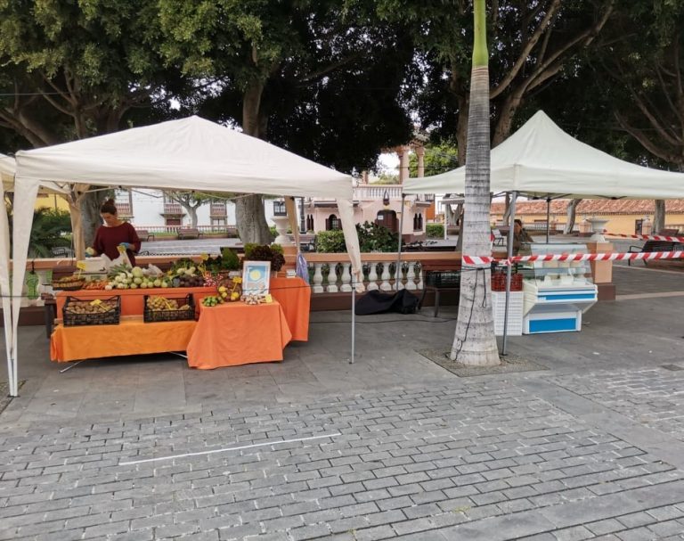 El mercadillo del agricultor de Buenavista prestará servicio a domicilio