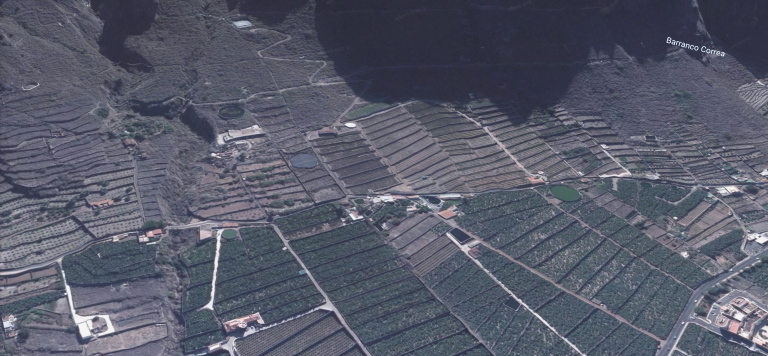 Identifican los restos óseos hallados en el Camino Viejo de Las Cruces