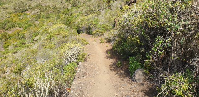 20220621 finca las moradas teno (1)