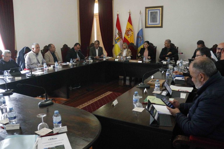 El comité ejecutivo de la FECAM se celebra en Los Silos por primera vez en su historia