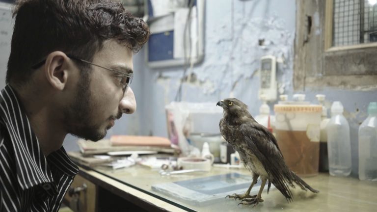 FICMEC inaugura su XXV edición con la película ’All That Breathes’ este jueves 25 a las 19.30 horas